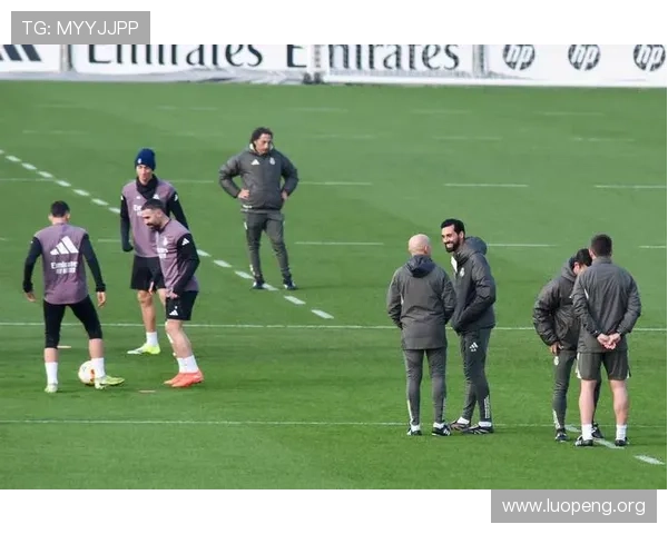 阿韦洛亚着力培养双星发展未来